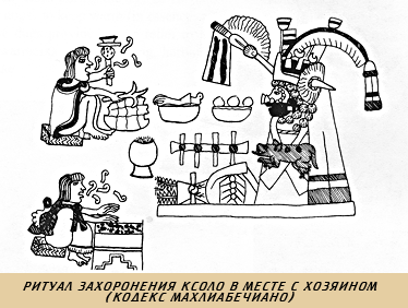 легенда о красной собаке