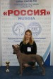 Harmeks Radzha (standart)
