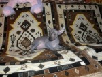 Мини девочка ксоло